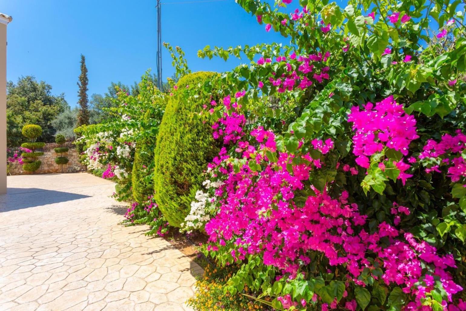Villa Mary يورانيون المظهر الخارجي الصورة